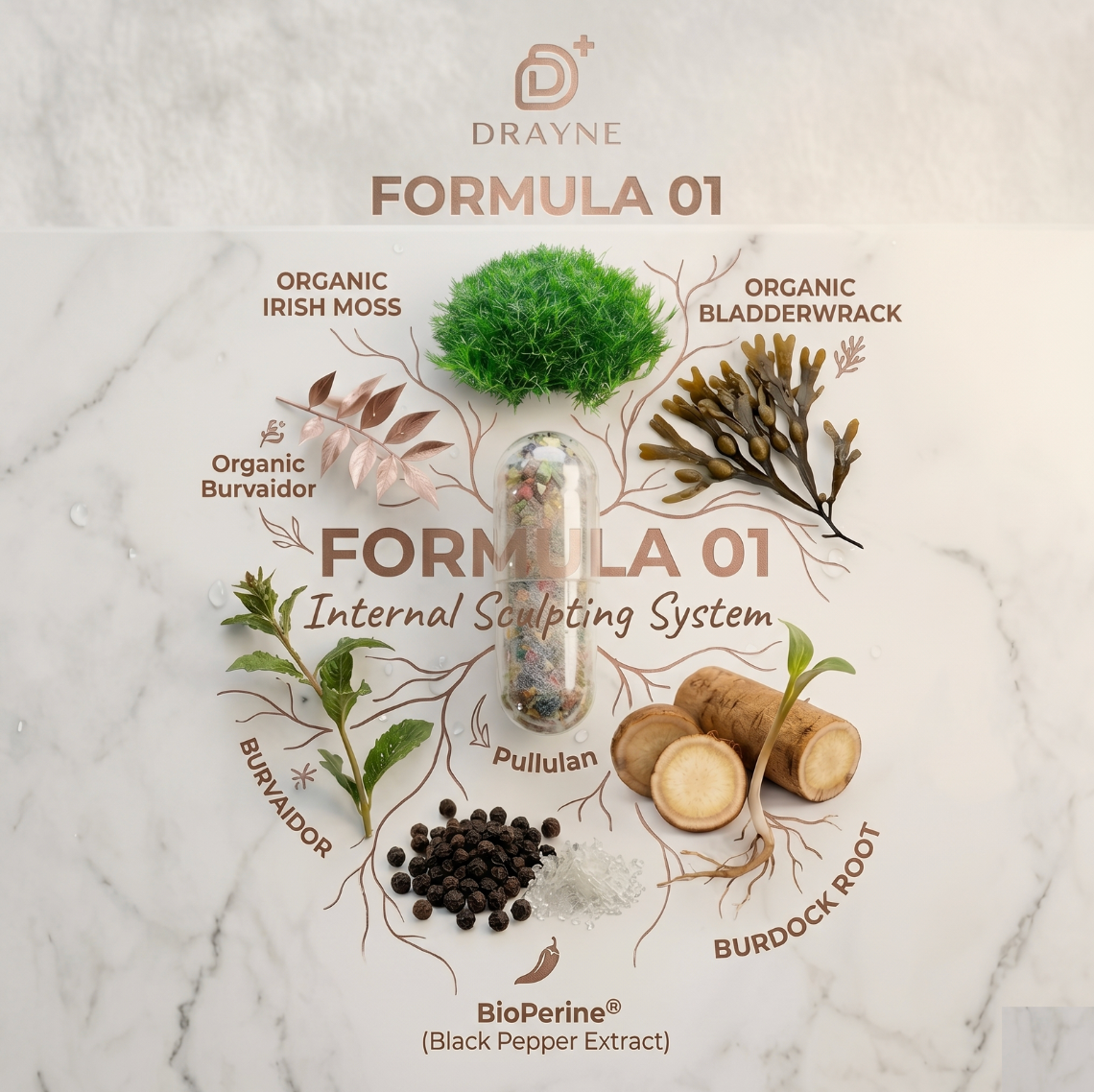 DRAYNE Formula 01 — Internal Sculpting System